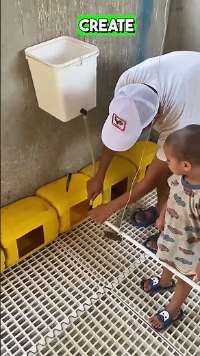 How to Raise Rabbits Indoors Smart DIY Setup for Happy & Healthy Rabbits 🐰✨