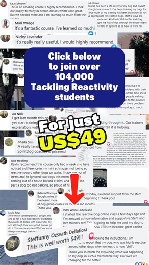 The best way to train your reactive dog is not to distract them, not to assert dominance, and definitely not punishing, correcting, or shouting at your dog. Reactive dog training methods based on distraction and redirection fail. Here’s why: Imagine luring your dog away with a cookie every time a person or dog comes too close… It’s not sustainable. Do you really want to distract your dog every single time you come across another person or dog? It won’t work every time. One day, you come across a