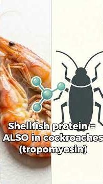 Why Coffee Can Trigger A Shellfish Allergy 😳