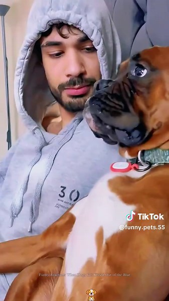 The hilarious reaction of a dog when suddenly kissed#funnyvideos #dogs #foryou #dogsoftiktok #doglove#dogvideos #usa