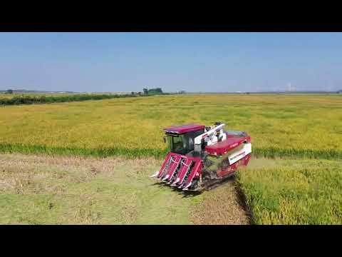 让收割成为一种乐趣吧 #农业种植 #三农 #农机人 #无人机拍摄 洋马农机（中国）有限公司