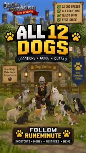 Every Dog Location in OSRS 🐶 | All 12 Dog Breeds!