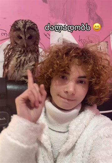 უყვარს ჩემი კულულების დაშლა და რაქნას 😄🥰 ესე ერთობა ბუსა ჩემით ❤️🦉 #owl #Busa🦉 #animallove #Elleneli #PositiveVibes