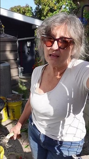 don’t throw out your oyster shells! 🦪 #gardening #sustainableliving