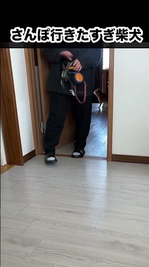 【さんぽ大好きイッヌ】