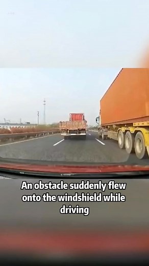 130K views · 4.6K reactions | What would you do if your vision is suddenly blocked while driving at high speed #driving#car#diy#tips # | Tonggeqichezhishi | Facebook