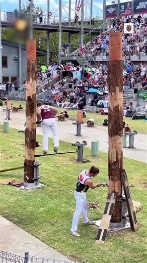 He Waited… Then Won the Tree Cutting Competition with One Smart Strategy 😱