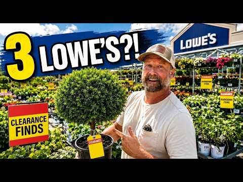 I Checked 3 Lowe’s Clearance Racks—The Last Store Was LOADED