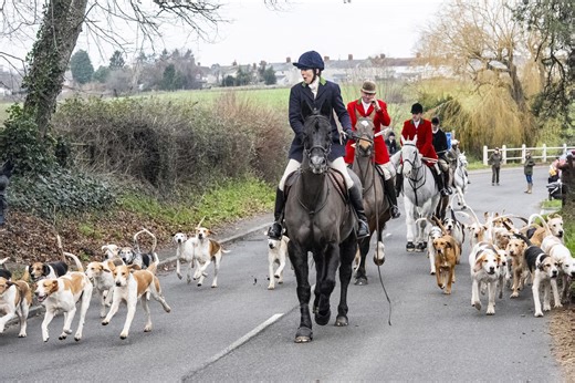 Boxing Day hunts vow to 'fight' trail ban as Starmer warned over rural backlash