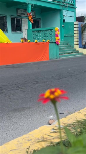 Happening today ! Come out for lunch 🥙 🌮💃🕺 so come enjoy the show! | Eider Romero