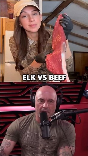 Why Wild Elk Meat Is Healthier Than Beef - Joe Rogan