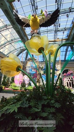These giant flowers at Bellagio are UNREAL! 🌼✨ #BellagioConservatory #LasVegas #SpringtimeSymphony