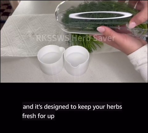 Herb Saver, Herb Keeper for Refrigerator, Cilantro Container for Fridge, Fresh Herbs Lettuce Vegetable Preservation Bottle Keeper Parsley Mint Refrigerator Storage for Fresh for 2-3 Weeks