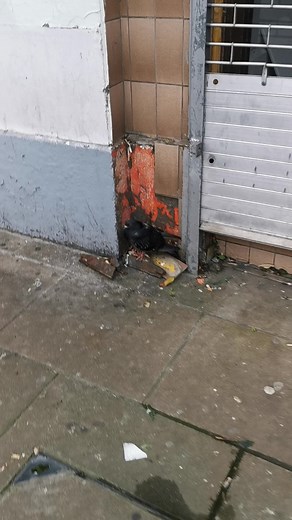 Bathory (@estella_bathory)’s videos with TIME IN OBLIVION - iANO