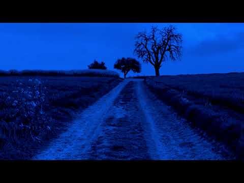 Linkin Park - Crawling Instrumental (slowed + reverb)