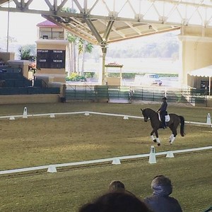 Steffen Peters and Rosamunde ("Rosie") at the California Dressage Society "Celebrating California" symposium in Del Mar! •••••• Steffen explained his training methods as he rode, sharing that he focuses on riding with clear (yet subtle) aids and patience. He also emphasized considering the personality and temperament of the horse. "You have to ride in the frame and the tempo that is most productive for the horse," he said. | Dressage Today
