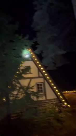 This is a good strategy: placing a ladder on top of the sloping roof.