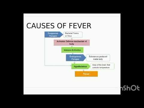 Fever, classification and general management at home