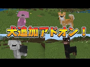 【マイクラ】１７種類の犬を追加するアドオンがめっちゃ可愛い…