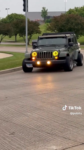 Hilarious Moments with Lifted Jeeps and Dogs