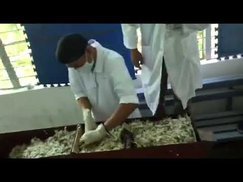 Actual Bullet Recovery