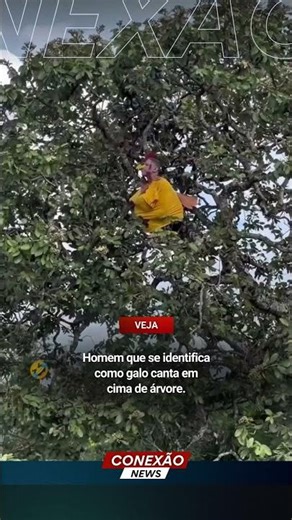Homem que se identifica como galo canta em cima de árvore.