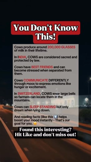Amazing Cow Facts You Never Knew #facts #fblifestyle | Time Facts