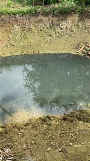 JOSH tv (@josh.tv01)’s videos with original sound - JOSH tv