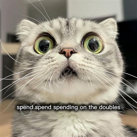 Golden from meow #cat #funny #memes #shorts #catvideosonly