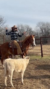 Rodeo Time 471 is live ol son! | Dale Brisby