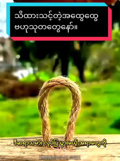 Essential General Knowledge Everyone Should Know