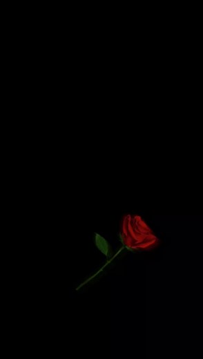 Artistic Red Rose Animation with Sparkling Effects