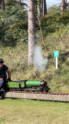 THE ULTIMATE GARDEN RAILWAY EXPERIENCE! Miniature Steam #Train 🌳🌿 #MiniatureRailway #GardenRailway