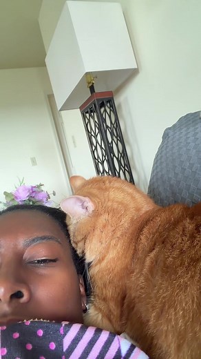 Orange Cat Won’t Stop Laying on My Hair — Nap Thief