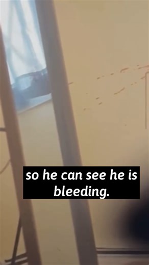 Shocking Confession: Angela Simpson Admits Murder #shortsreels #confession #shocking #truecrime #criminalcase | Love & Beyond | Facebook