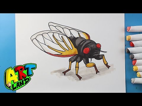 How to Draw a Cicada