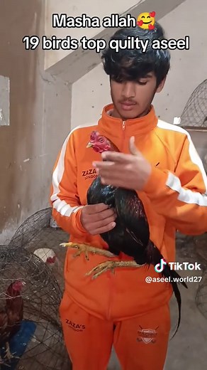 0324aseel6729world333 on TikTok