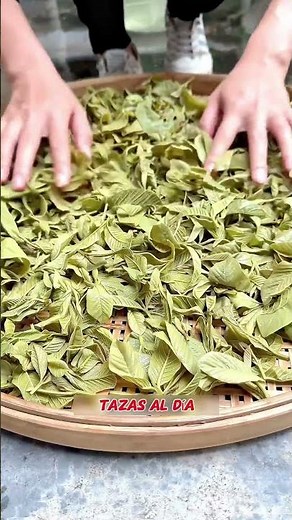 I will explain in detail how to effectively use guava leaves