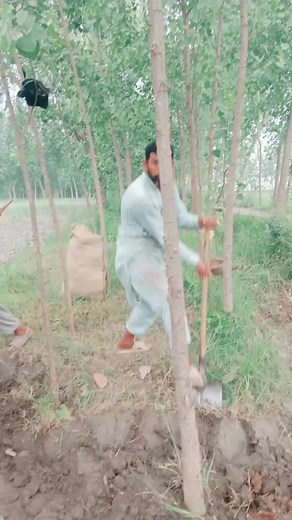 Traditional Farming Techniques in South Asia