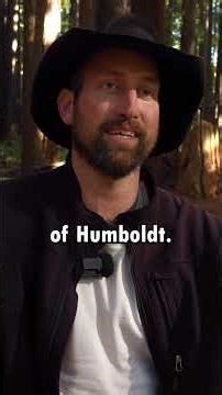 The Real Story Behind My Song "Humboldt"