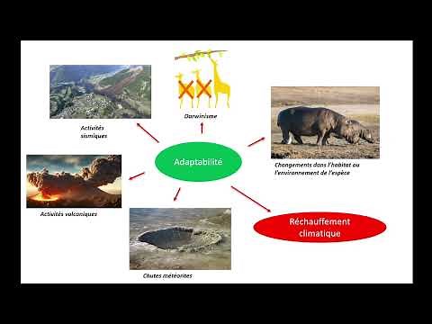 L'évolution des vivants