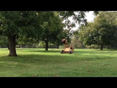 Shaking pecan trees at Little Eva Plantation...