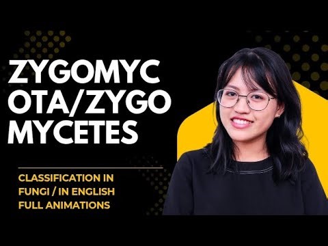 Zygomycota Explained in Easy Way | Fungi Reproduction & Zygospore/ in English