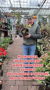 5.1K views · 87 reactions | addsWEBSHOP...