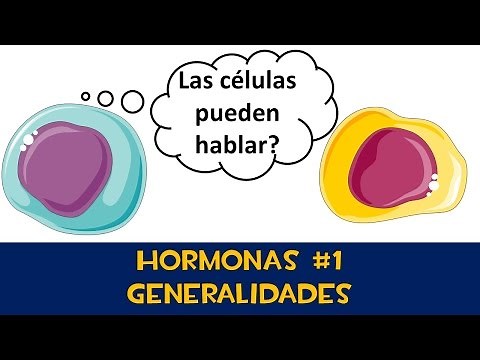 Hormonas #1 📨 Generalidades