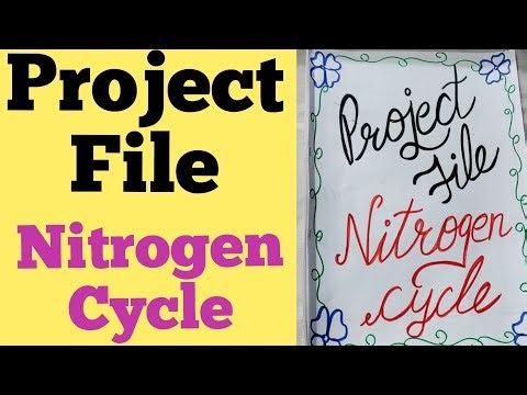 science project file/nitrogen cycle project file/science project file/project file class 12 th