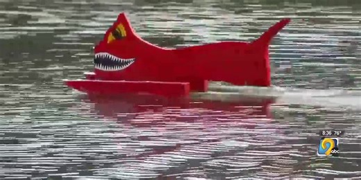 Central Iowa community finds unique to scare geese from park