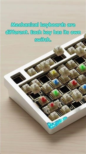 Mechanical Keyboard vs Normal Keyboard — What's the Difference?
