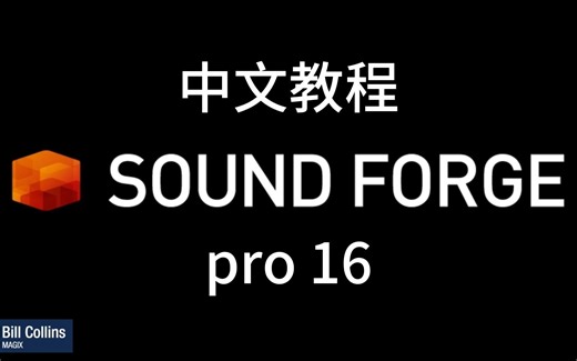 sound forge pro 16快速入门中文教程