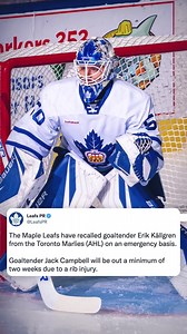 The Coyotes and Leafs game tonight is the perfect chance to debut our newest segment, Sports Stonks. | TSN